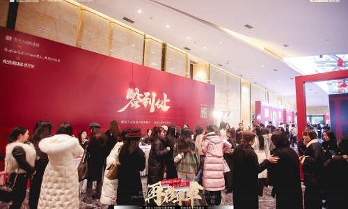 耀动全国，爱无止境 2025虞美人全国春天联欢晚会成功举办